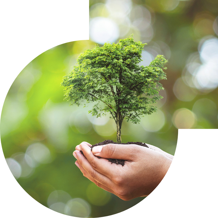 关怀人类、文化、环境与社会